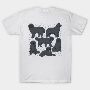 The Newfoundland dog illustration T-Shirt